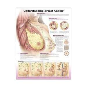Understand Skin Cancer Anatomical Chart Anatomy Poster Laminated