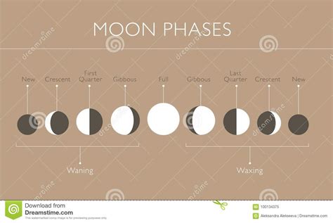 Moon Phases Vector Background Stock Vector Illustration Of Move Luna