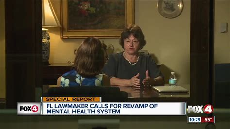 Lawmaker Floridas Mental Health System Needs Total Revamp