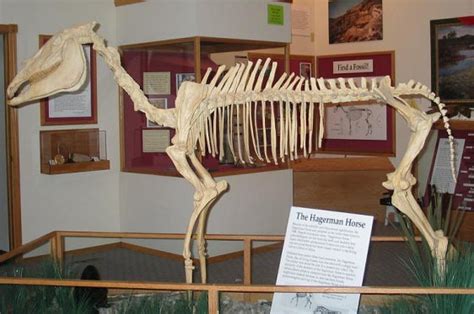 Hagerman Fossil Beds National Monument Idaho