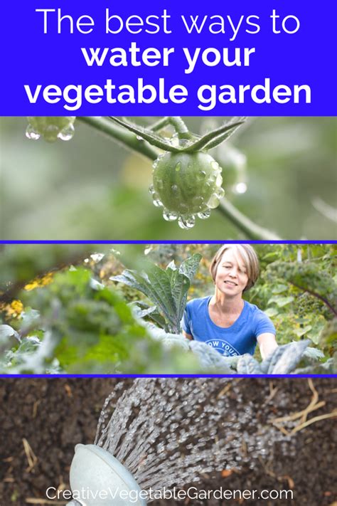 Secrets To Watering Your Vegetable Garden The Right Way Vegetable