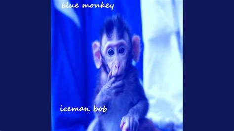 Blue Monkey Youtube Music
