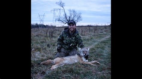 1 Of 4 Coyote Hunting Ontario Rockrib Outdoors Youtube