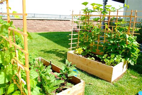 Backyard Vegetable Garden Ideas Philippines Get Ideas For Creating An