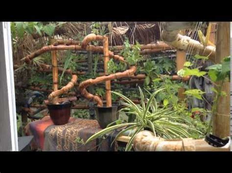 Avoid placing it in areas exposed to full sunlight or leaf burning will occur, which. Bambood Hydroponics Grow Healthy Go Healthy - YouTube