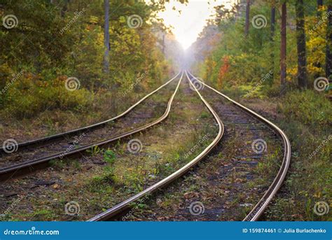 Railway In The Autumn Forest Stock Image Image Of Autumn Journey