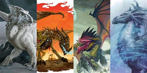 Dungeons & Dragons: 10 Most Powerful Dragons, Ranked | ScreenRant