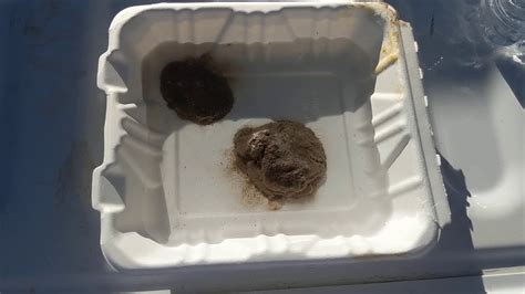 It is designed to mimic nature's approach to soil nutrient availability as best we can in the lab. Dispersive Soil - Crumb Test - YouTube