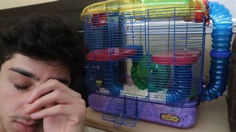My Hamster Escaped Faze Rug Youtube