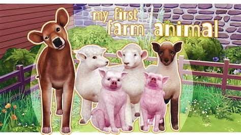 My First Farm Animal At Kawaiistacie Sims 4 Updates