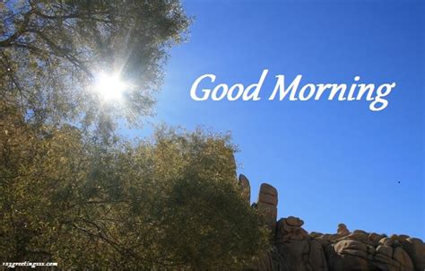 Good Morning Wishes Pictures Images Page 4