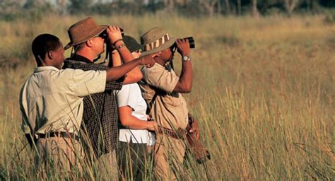 Vacancy Professional Guides Wanted At Bush Ways Safaris Botswana
