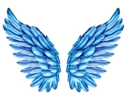 Discover And Download Free Images Pixabay Angel Wings Art Angel Wall Art Angel Wings Tattoo