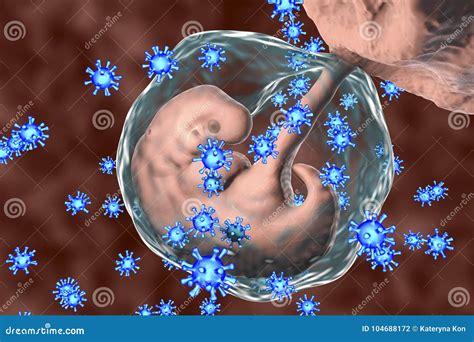 Perinatal Transmission Of Infection Conceptual Image Stock
