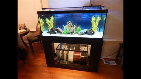 Sump Setup For Freshwater Aquarium Aquarium Ideas