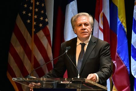 Almagro Urge A La Oea Actuar “tras Elecciones Ilegítimas En Nicaragua Rosemarynews