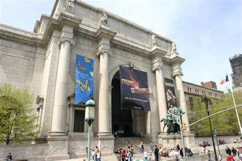 American Museum Of Natural History Wikidata
