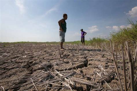 Of Yolanda Drought And Deforestation A Decade Of Sweeping