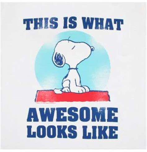 Official Snoopy Awesome Tee Shirt Buy Online On Offer