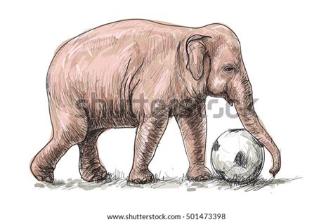 Elephant Playing Football Sketch Free Hand Stock Vector Royalty Free