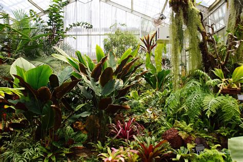 Sherman Gardens Lush Tropical Greenhouse
