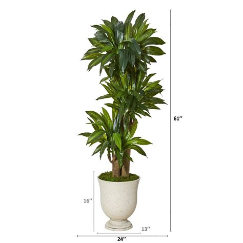 61 Corn Stalk Dracaena Artificial Plant In Decorative Urn Real Touch
