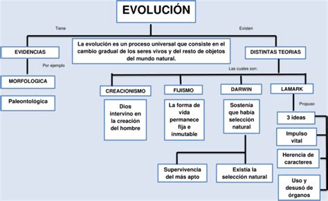 Mapas Conceptuales De La Evolución 【descargar】