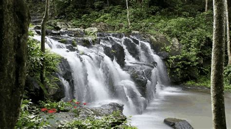 Waterfall Nature  Waterfall Water Nature Discover And Share S