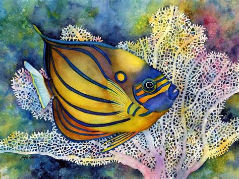 Blue Ring Angelfish Painting By Hailey E Herrera Sea Life Art