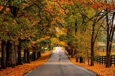 Fall Guide To Lexington Kentucky