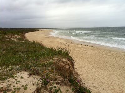 Save tuncurry motor lodge to your lists. Tuncurry Beach and Playground - Sydney