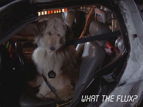 What The Flux Back To The Future