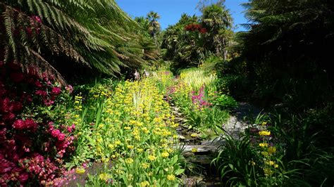 Britain's Gardens: Trebah Garden, Cornwall - Best Loved Hotels