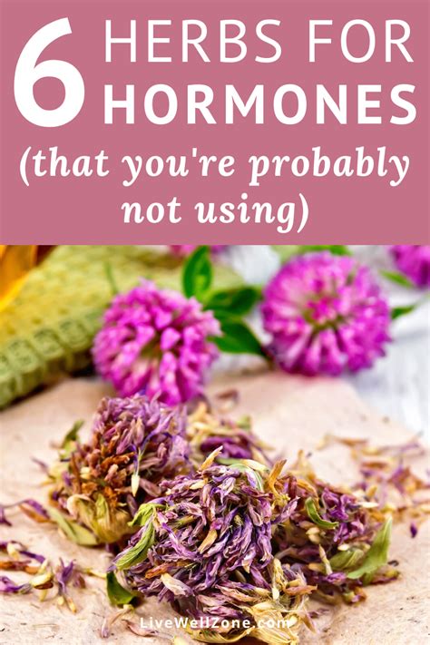 6 Herbs That Balance Hormones That Youre Probably Not Using