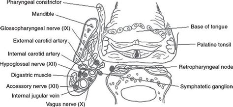 Oropharynx Radiology Key
