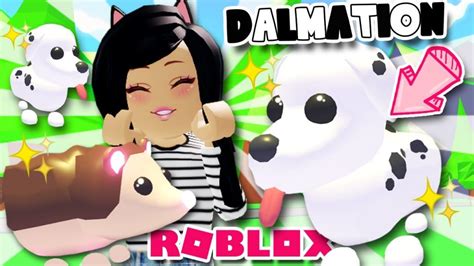 New Dalmatian Dog And Hedgehog Pets In Adopt Me Roblox Dress Your Pet