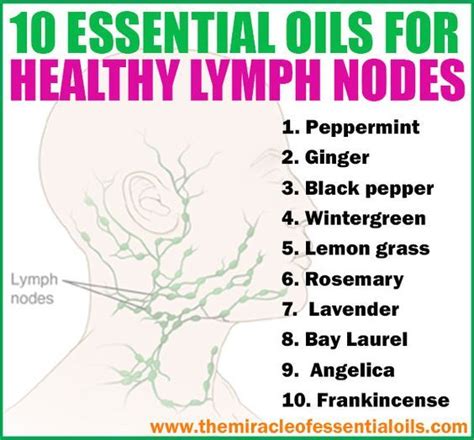 The Lymphatic SystÈme Essential Oils For Headaches