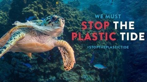 Petition · Single Use Plastic Banned In Australia By 2020 ·