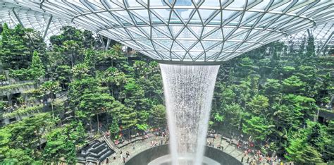 Complete Guide To Canopy Park In Jewel Changi Airport Singapore