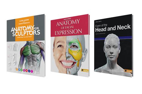 Anatomy For Sculptors Anatomy Book Series For Artists