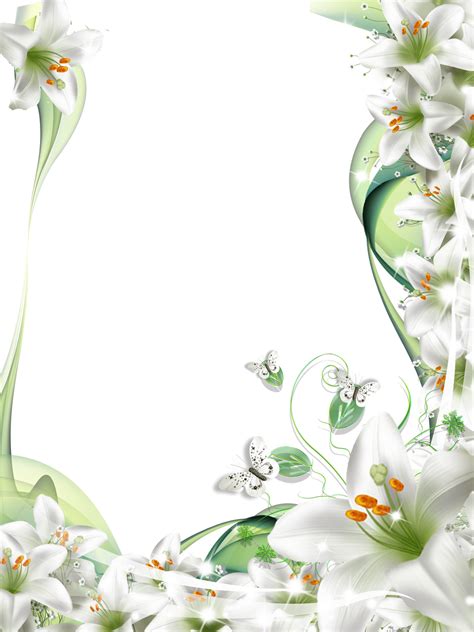 Lily Border Clipart 10 Free Cliparts Download Images On Clipground 2024