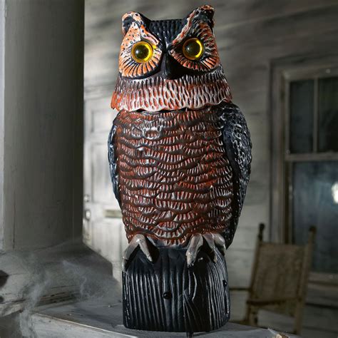 Pest control using harris hawk by jg pest control. Motion Sensing Owl - Bird And Pest Control