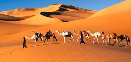 Bits of pottery suggest that about 7,000 years ago, ancient herders raised livestock and harvested p. The Sahara Desert Habitat. The Sahara is the largest hot ...