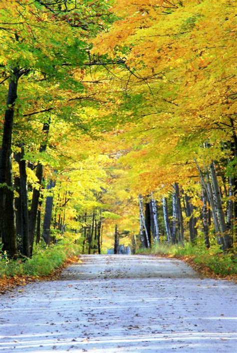 These Small Towns Have The Best Fall Foliage For Leaf Peeping Fall