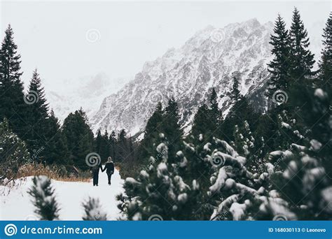 Small Human Figures Walking Towards High Tatra Mountains Through Pine