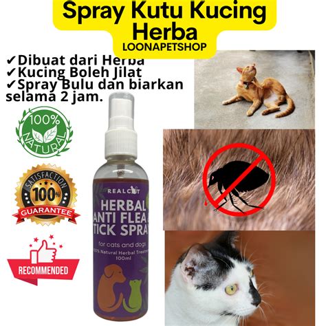 Ubat Spray Kutu Kucing Organik Cat Flea Spray Ubat Kutu Kucing Paling