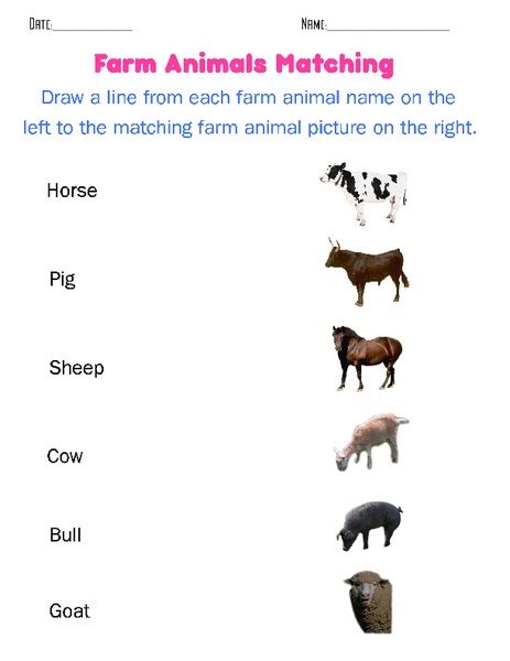 Farm Animals Matching Worksheet For Kindergarten 2nd Grade Lesson