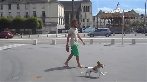 Comment Promener Son Chien Sans Laisse En Ville Youtube