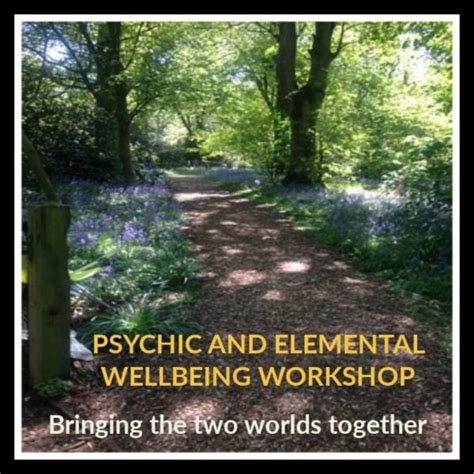 Psychic And Elemental Wellbeing Workshop Aurora Centre Of Wellbeing