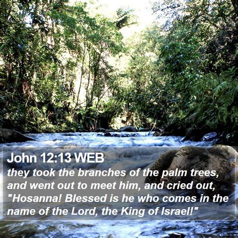 John 1213 Web They Took The Branches Of The Palm Trees And